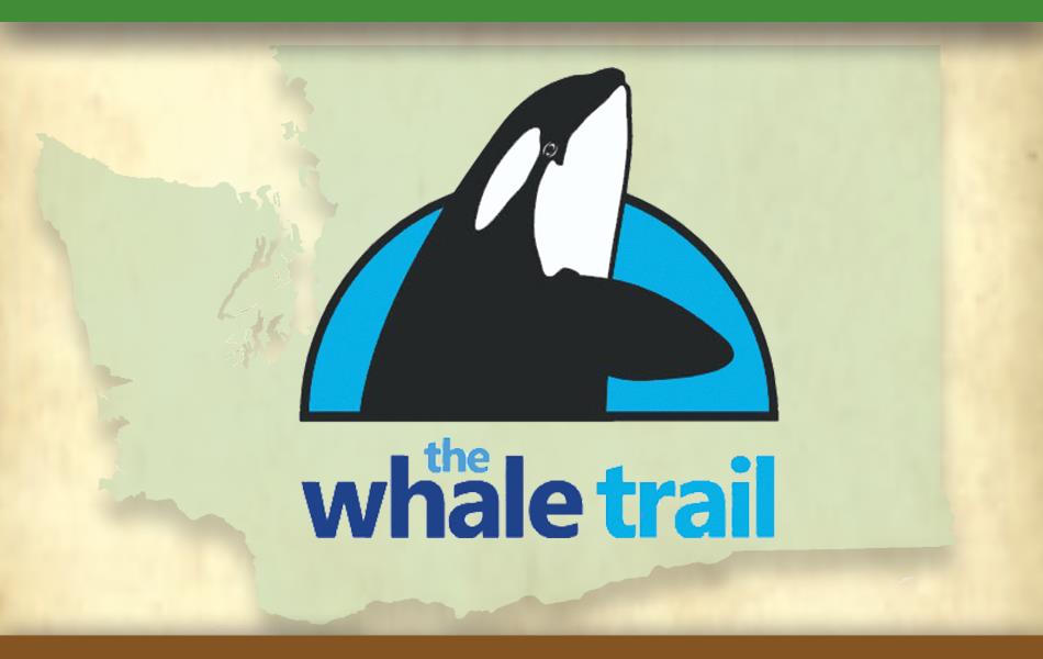 The Whale Trail at Lincoln Park (Pt. Williams)