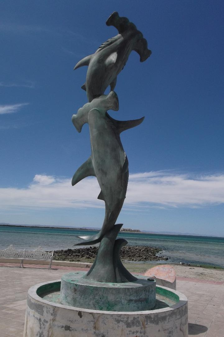 Hammerhead Sharks - statue on Malecon
