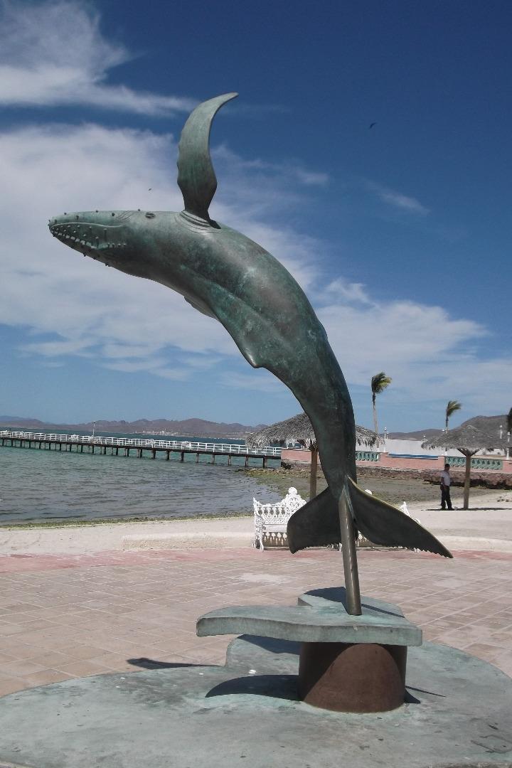 Humpback Whale - statue on Malecon